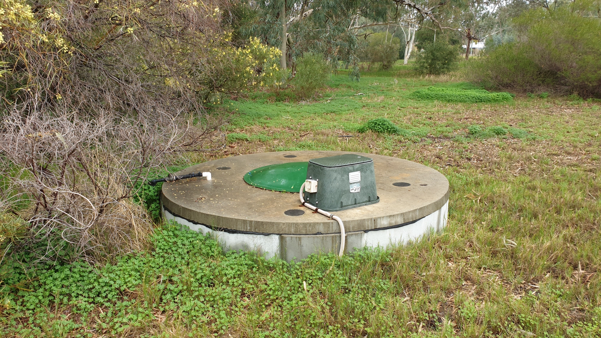 Swimming towards a cleaner, greener future - Switch Your Thinking