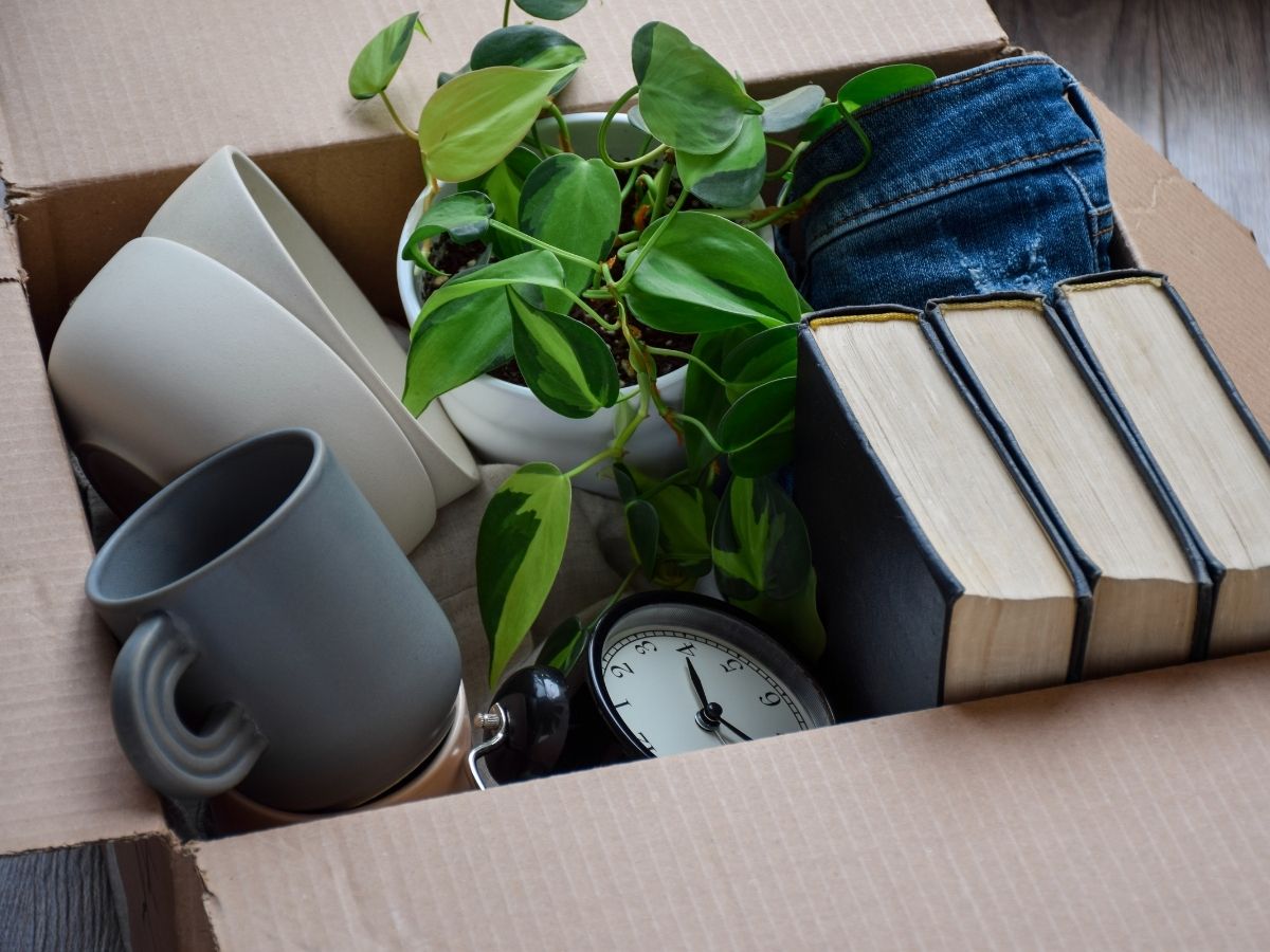 Items like cups, plant, books in box