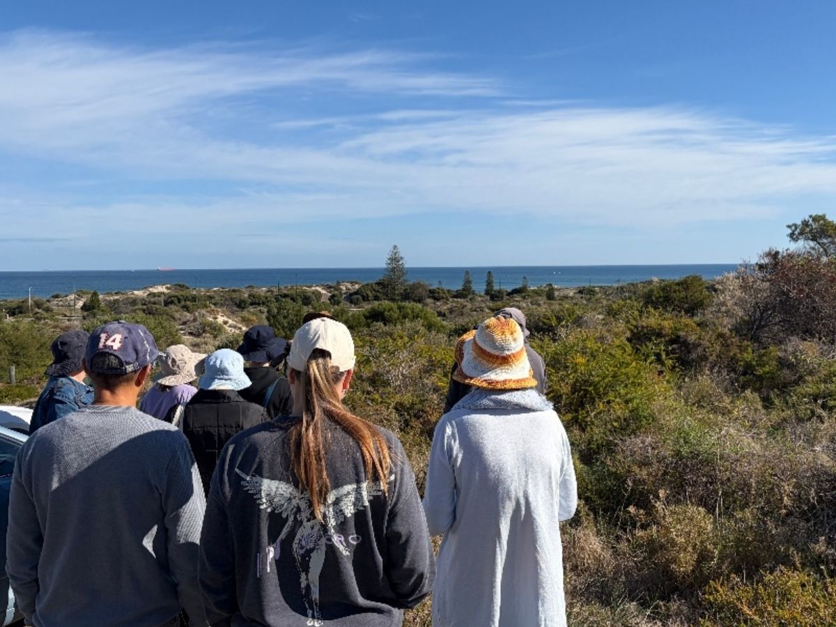 People standing in a bush looking at horizon