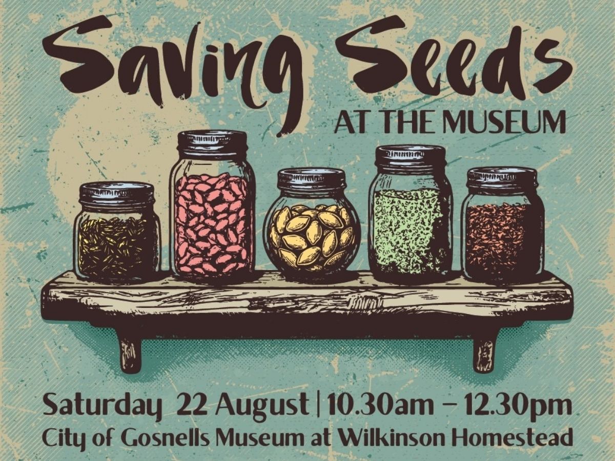 drawing of jars with saved seeds