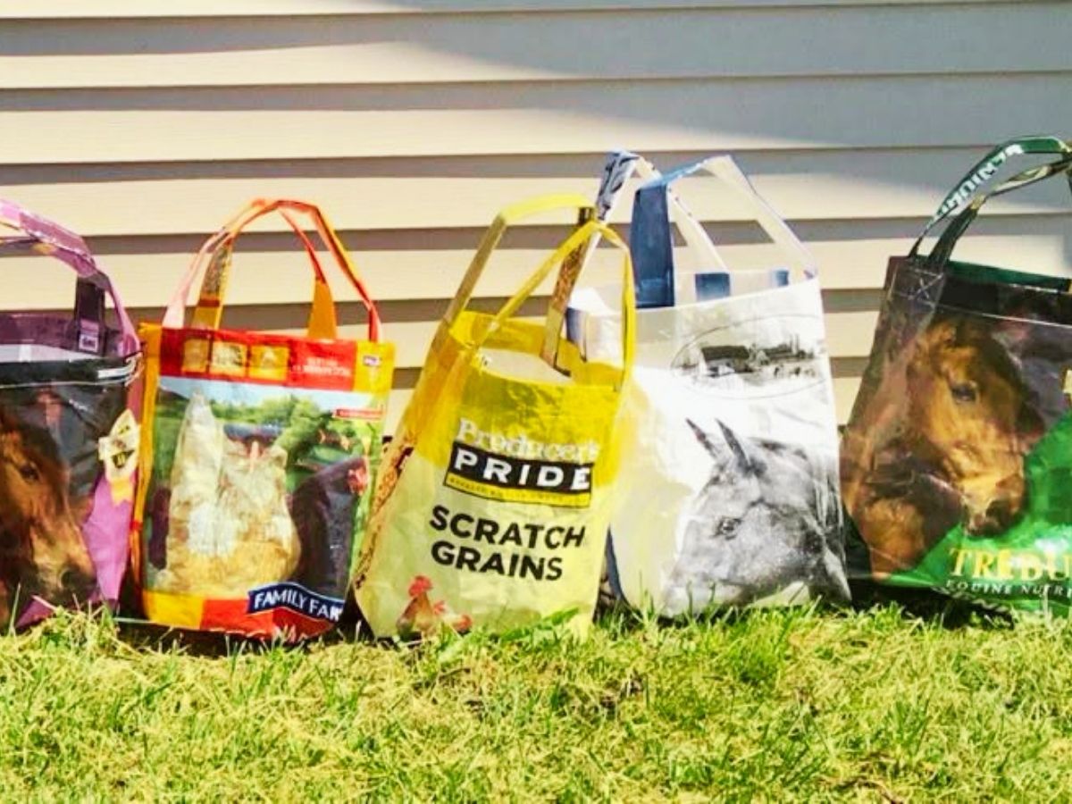 old shopping bags lined up on grass